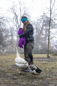 Grafika przedstawia młodą dziewczynę, wolontariuszkę fundacji, karmiącą łabędzia i kaczkę