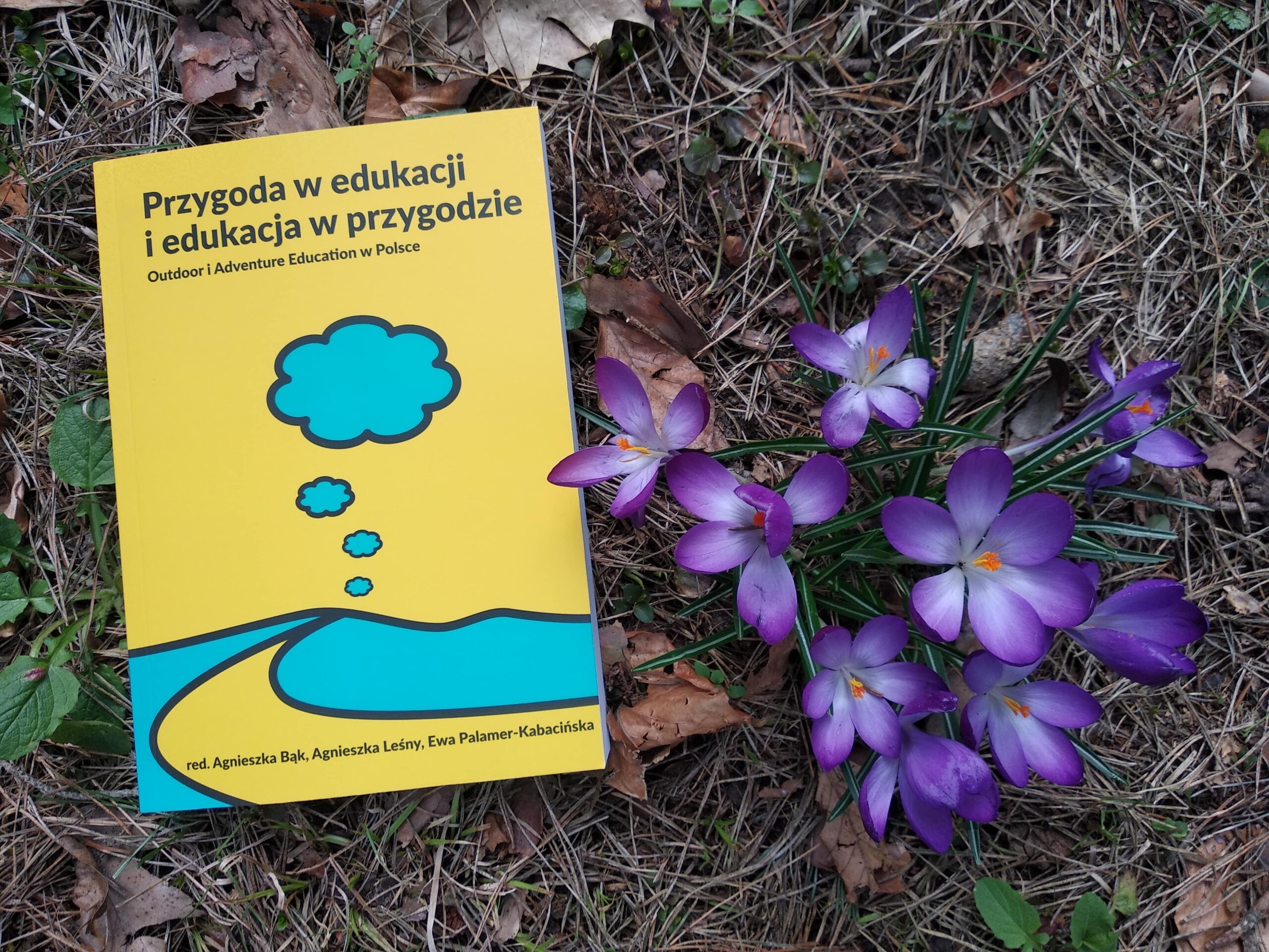 Przygoda w edukacji i edukacja w przygodzie